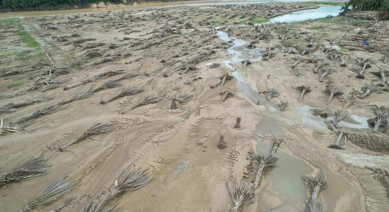 Petani Sawit Aceh Pertanyakan Peran BPDP dalam Pemulihan Pasca Bencana