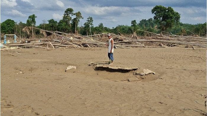 Data BNPB Korban Bencana Banjir Sumatra: 1.112 Orang Meninggal, 176 Masih Hilang, Aceh Terbanyak