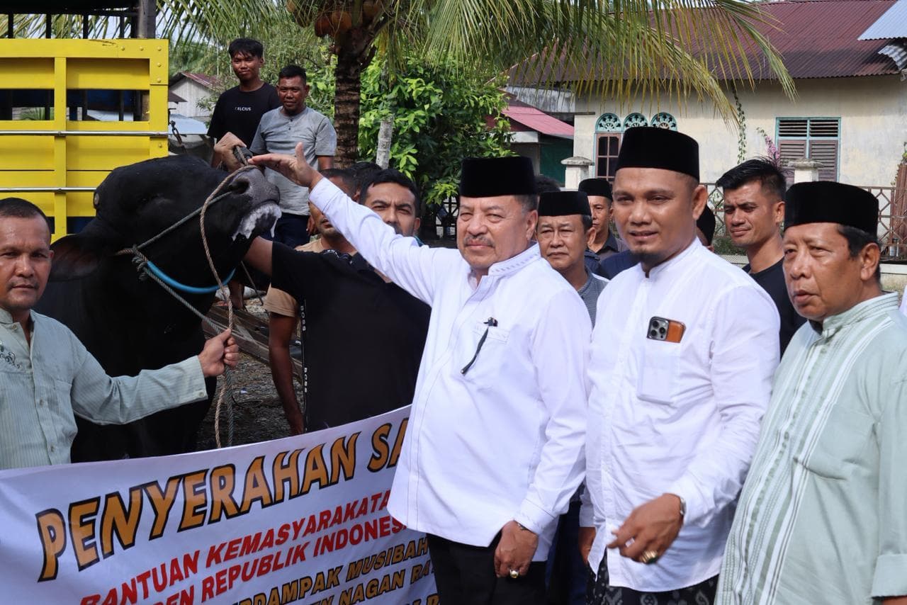 Bupati Nagan Raya Salurkan Sapi Presiden untuk Korban Bencana di Darul Makmur dan Tripa Makmur