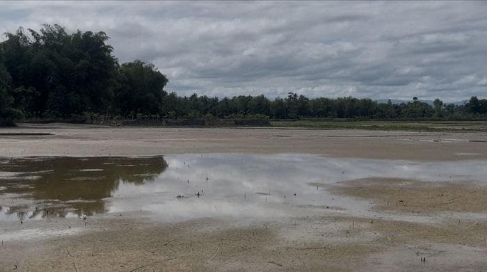 500 Hektar Sawah di Pidie Terkubur Lumpur, Petani Terancam Terlambat Tanam