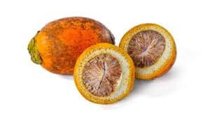 Pinang Aceh: Simbol Ketahanan Ekonomi Gampong yang Berdiri Tegak