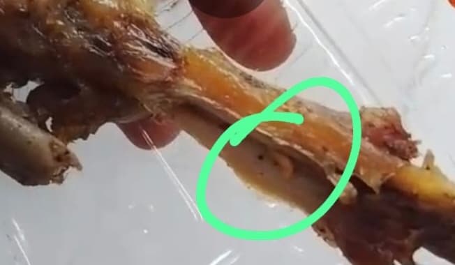 Menu MBG Aceh Tenggara Diduga Berulat, Masyarakat Minta Pengawasan Ketat