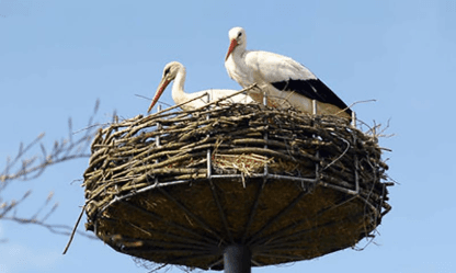 Korupsi Beasiswa Rp 420 Miliar di BPSDM Aceh: Penyidikan Mandek Tanpa Tersangka