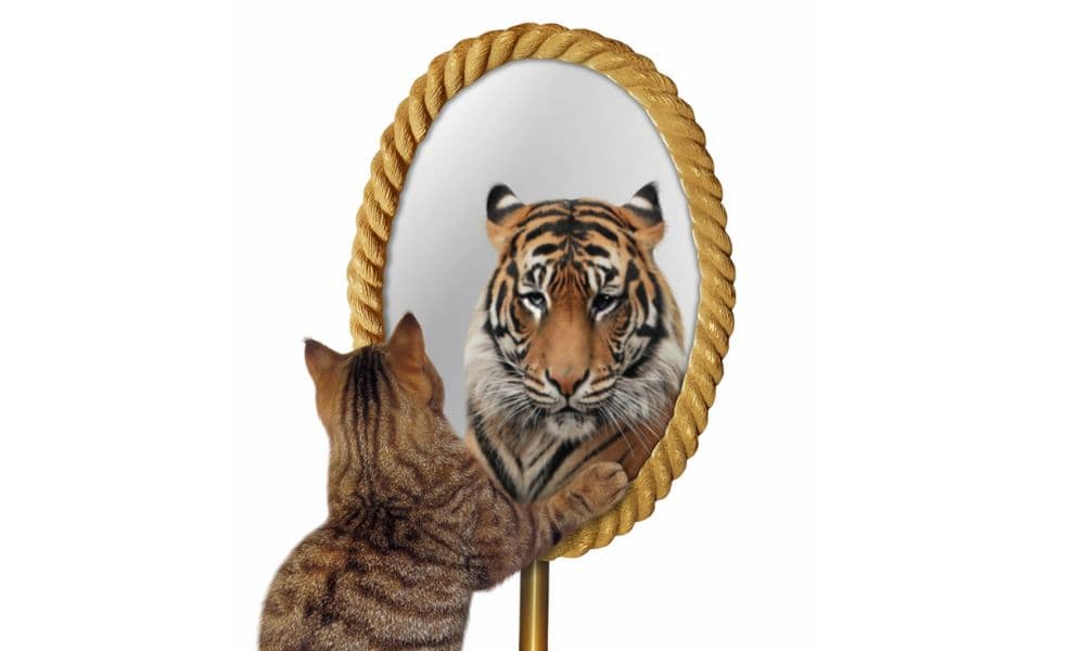 Sekda Aceh Diduga Ambil Alih Peran Wakil Gubernur, Ancaman Krisis Tata Kelola