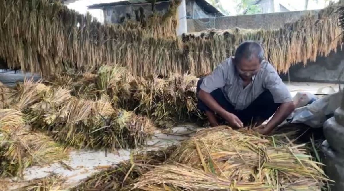 Banjir Aceh Utara: 11.929 Hektare Sawah Puso, Petani Rugi Rp 1,6 Triliun