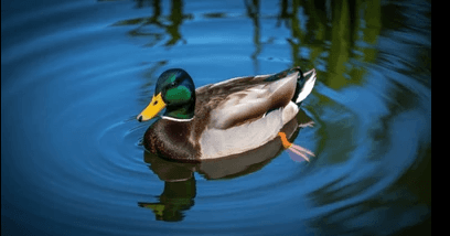 Warga Aceh Terancam Kehilangan Akses Kesehatan Akibat Peraturan Gubernur