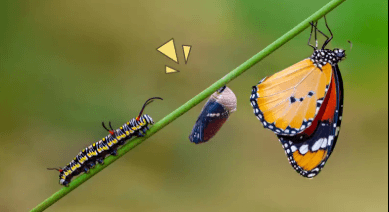 Jaminan Kesehatan Aceh Terancam, Transformasi Sistem Diperlukan untuk Warga Miskin