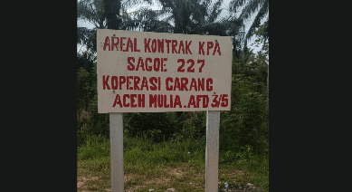 Warga Aceh Timur Tolak Pengelolaan Tanah Sengketa PT Atakana oleh Koperasi Garang