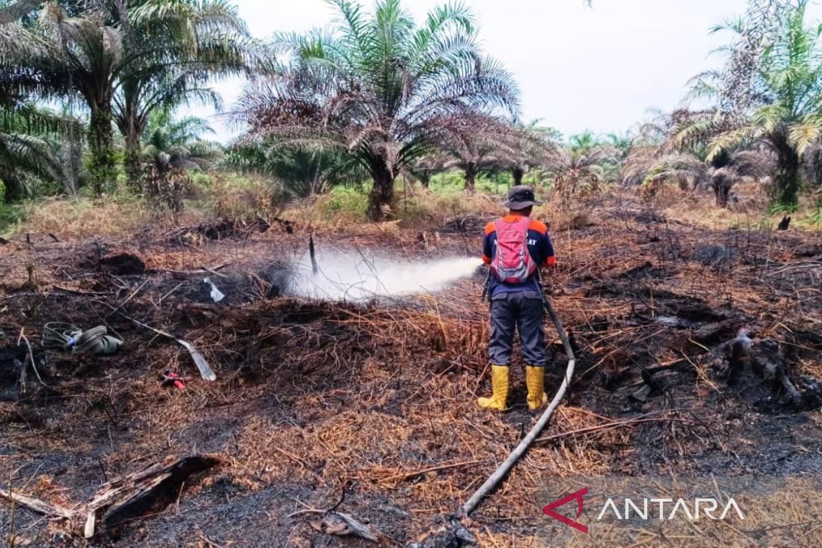 Kebakaran Lahan di Aceh Barat Bertambah 58,7 Hektare, Petugas Terkendala Angin dan Air