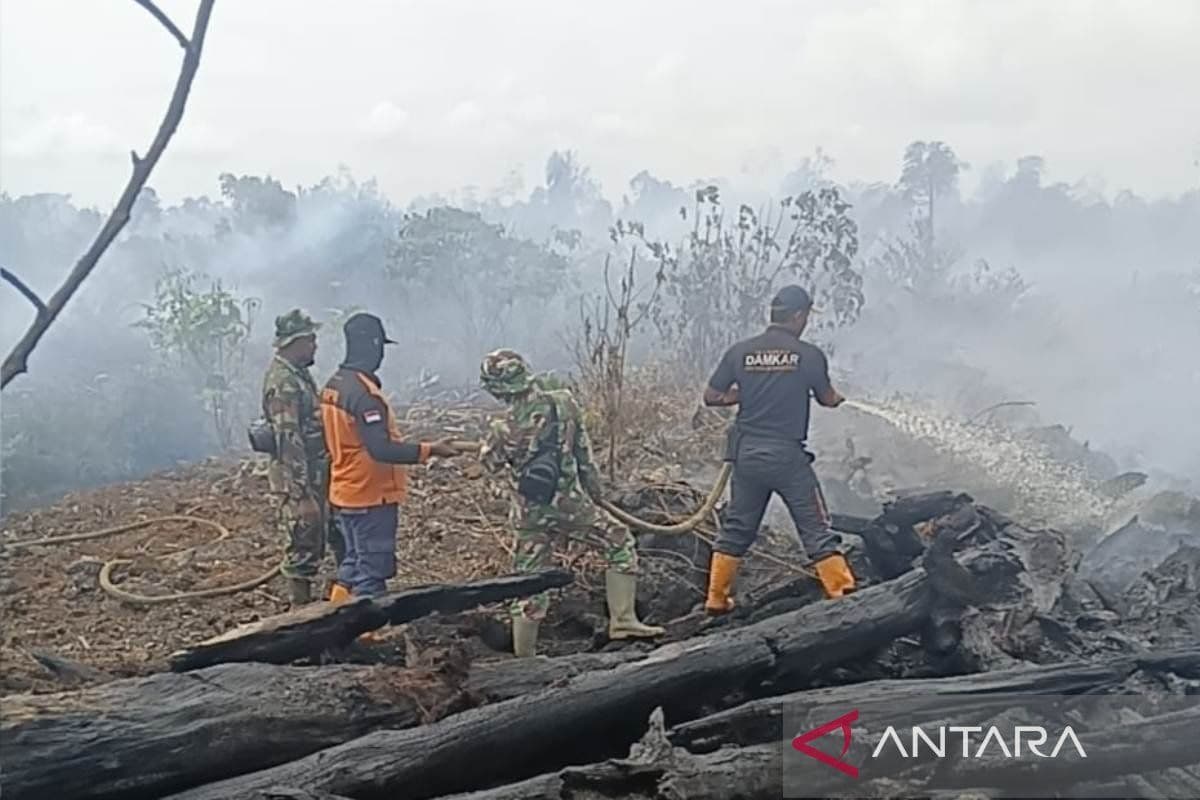 Aceh Barat Bentuk Komando Tanggap Kebakaran Hutan 57,7 Ha, Sekolah Diliburkan