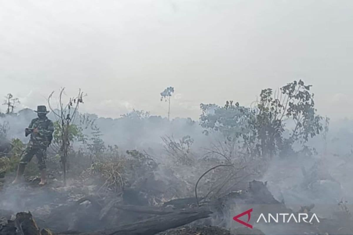 Kebakaran Lahan Aceh Barat Meluas, Status Darurat Tetapkan 14 Hari