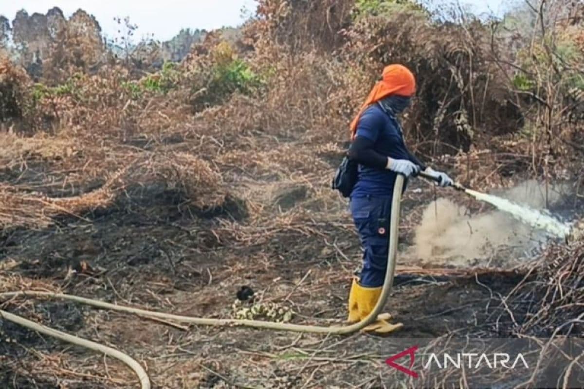 Karhutla Aceh Barat 41,4 Ha Tertangani, 16,3 Ha Tersisa di 5 Kecamatan