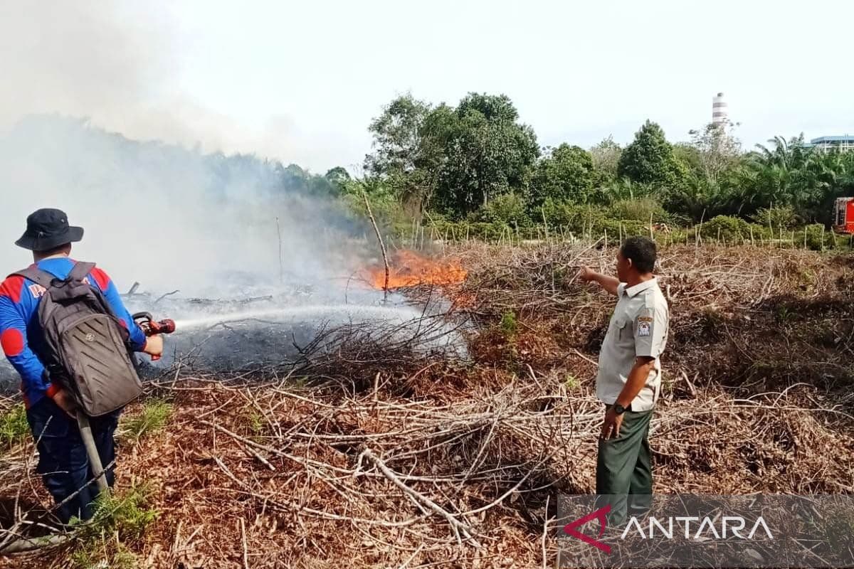 Karhutla di Aceh Barat: 0,5 Hektar Lahan Terbakar di Peunaga Cut Ujong