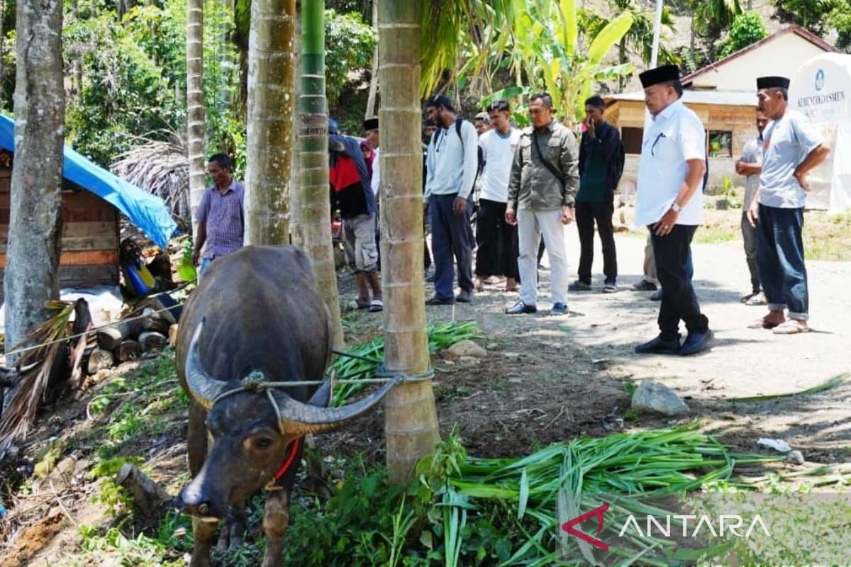 Warga Nagan Raya Terima Daging Kerbau dari Presiden Prabowo Usai Banjir