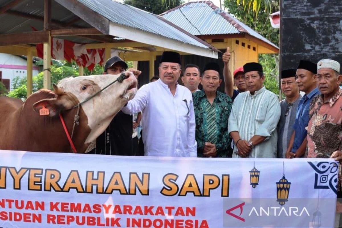 Bantuan 68 Ternak Meugang dari Presiden untuk Korban Bencana Nagan Raya