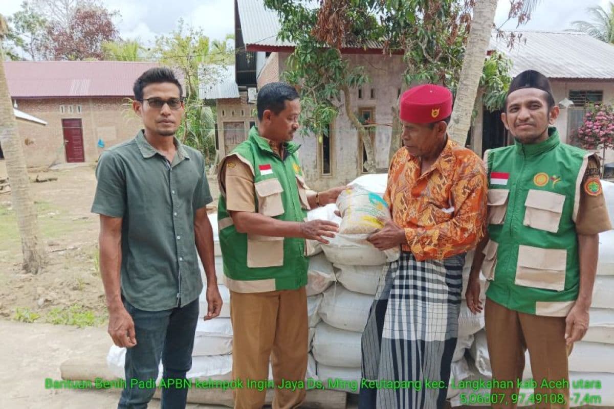 Petani Aceh Utara Terima Benih Padi 149 Ton untuk Pemulihan Ekonomi