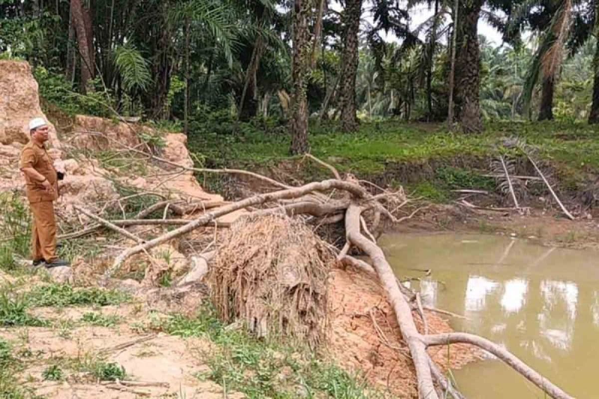 Erosi tanggul DAS Arakundo ancam permukiman warga Blang Gleum
