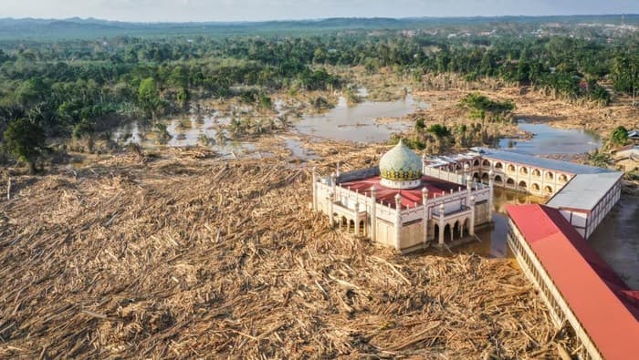 Penyidikan Pembalakan Liar di Aceh: Tumpukan Kayu di Sungai Tamiang