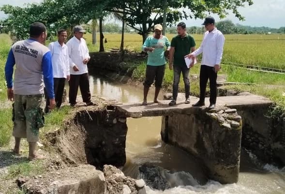 Irigasi Sawah Alue Ie Mameh Rusak, Petani Nagan Raya Terancam Gagal Panen