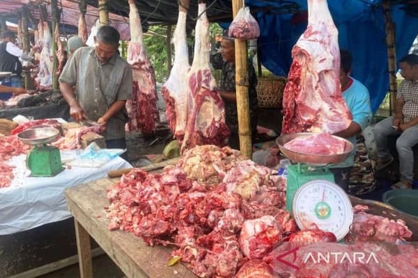 Harga daging segar di Aceh Barat masih tinggi Rp150 ribu/kg, dampak ke warga