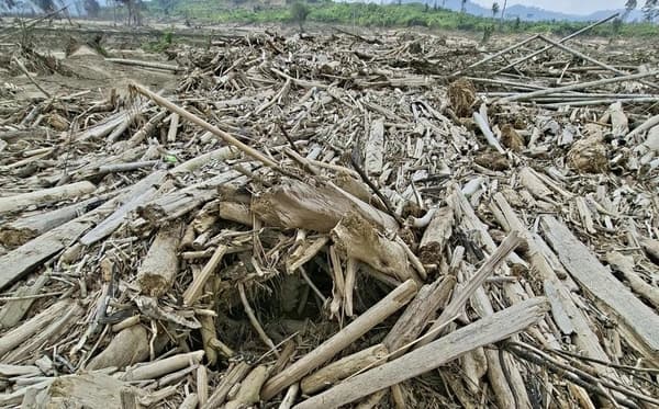GeMPAR Desak BNPB Gandeng Bank Aceh Syariah untuk Percepat Bantuan Banjir