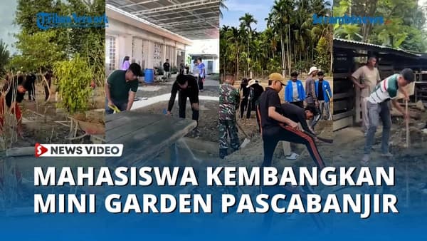 Mahasiswa UBBG Bantu Petani Tiba Masjid Panen Sayuran Pascabanjir