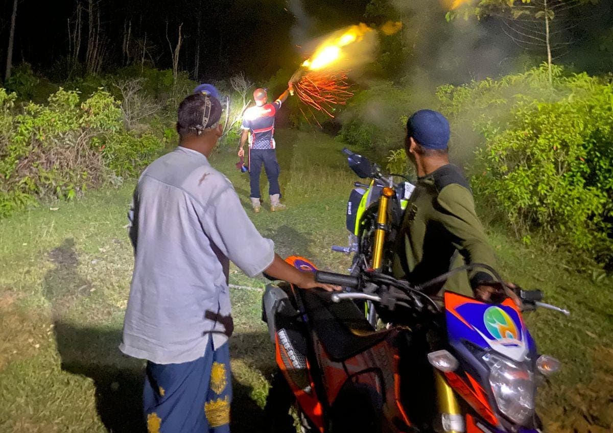 Gajah Liar Ancam Permukiman Trans Lango, BPBD Aceh Barat Lakukan Penghalauan